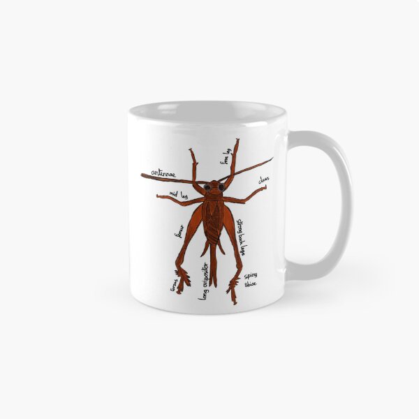 Item preview, Cricket Anatomy Entomology designed and sold by chowlet.