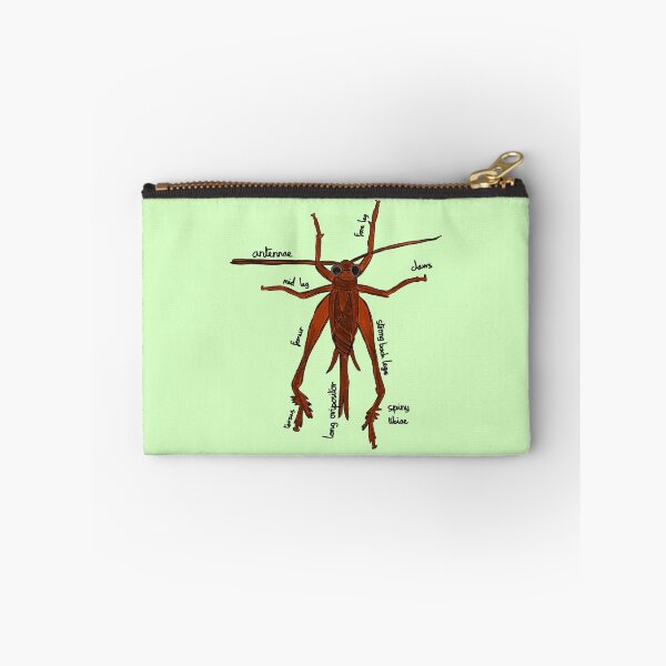 Item preview, Cricket Anatomy Entomology designed and sold by chowlet.