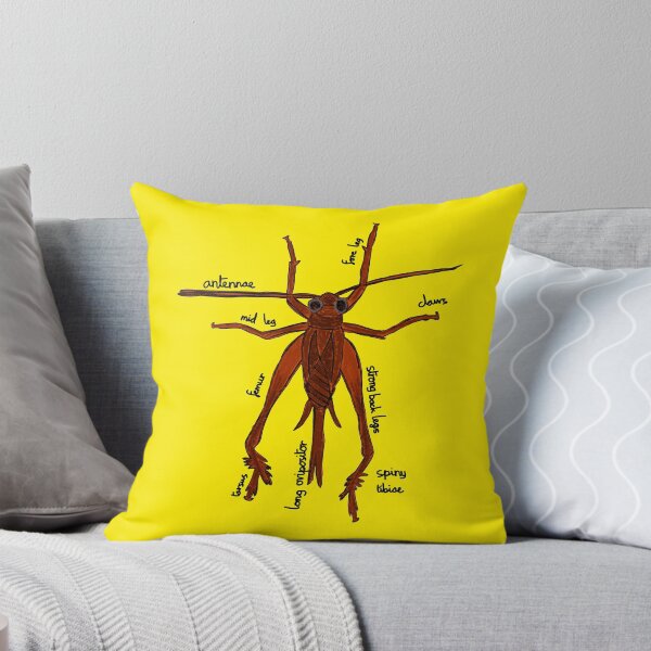 Item preview, Cricket Anatomy Entomology designed and sold by chowlet.