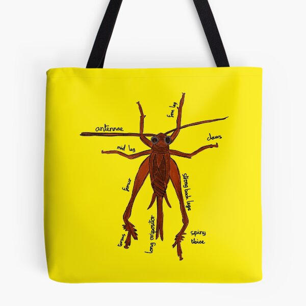 Item preview, Cricket Anatomy Entomology designed and sold by chowlet.