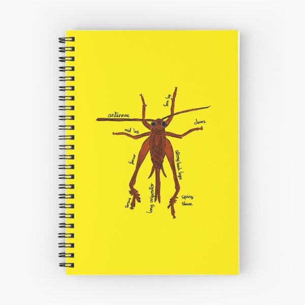 Item preview, Cricket Anatomy Entomology designed and sold by chowlet.