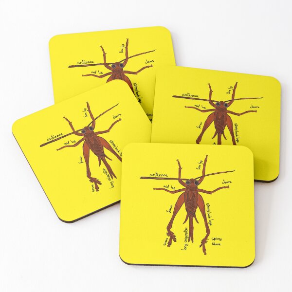 Item preview, Cricket Anatomy Entomology designed and sold by chowlet.