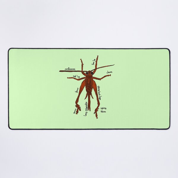 Item preview, Cricket Anatomy Entomology designed and sold by chowlet.
