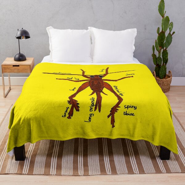 Item preview, Cricket Anatomy Entomology designed and sold by chowlet.