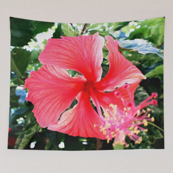 Item preview, Blooming Hibiscus Flower designed and sold by HJ-Photography.