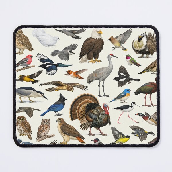 Item preview, Native Birds of Colorado Retro Style Identification Chart designed and sold by kakarikihill.