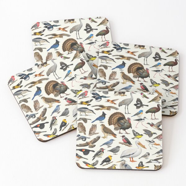 Item preview, Native Birds of Colorado Retro Style Identification Chart designed and sold by kakarikihill.