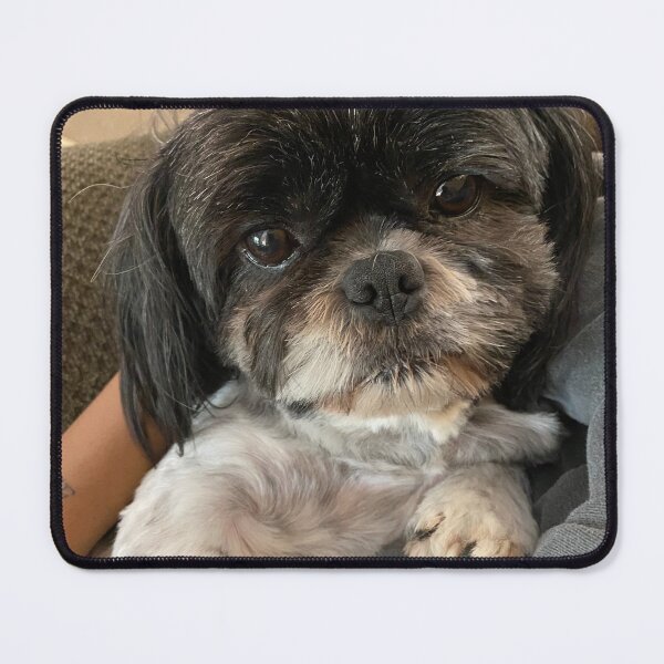 Item preview, Barney the Therapy Dog designed and sold by Massey Counseling and Associates.