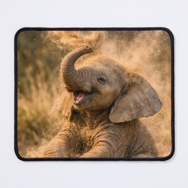 Item preview, Playful baby elephant kicks up dust designed and sold by Fotografin1981.