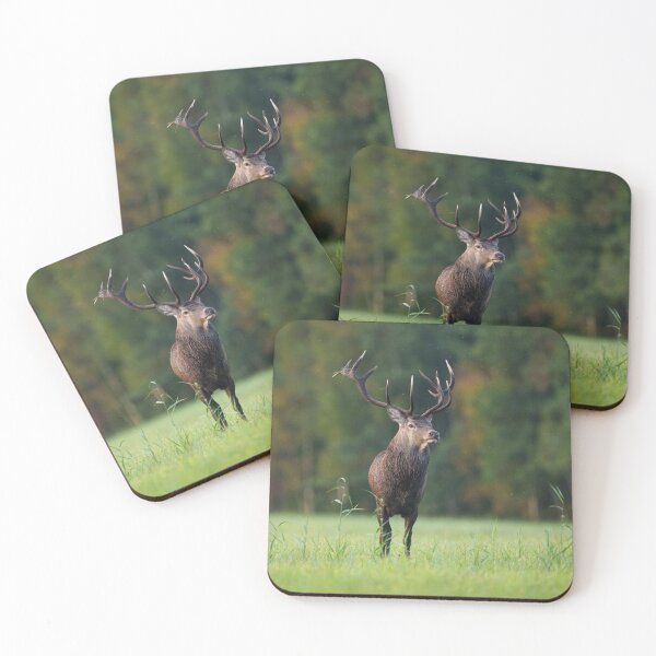 Item preview, Winter Aurigny Air Services eAntler Charm designed and sold by Blosslandscape.