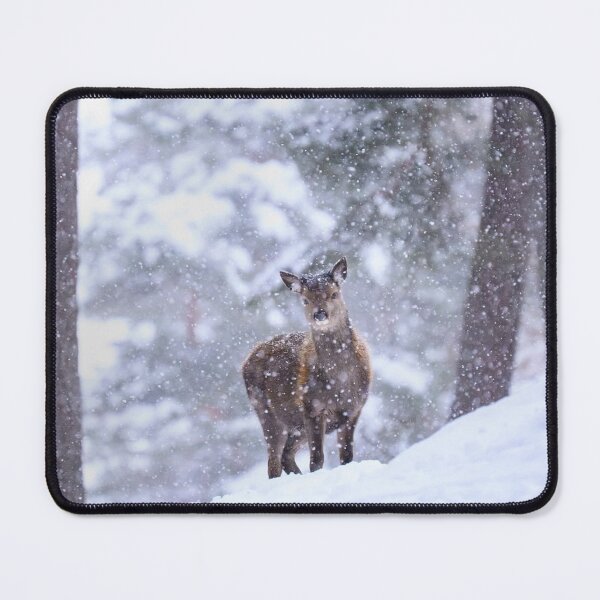 Item preview, Golden Magners Irish Cider cForest Guardian designed and sold by Blosslandscape.