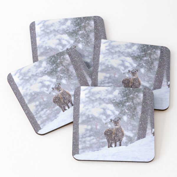 Item preview, Golden Magners Irish Cider cForest Guardian designed and sold by Blosslandscape.
