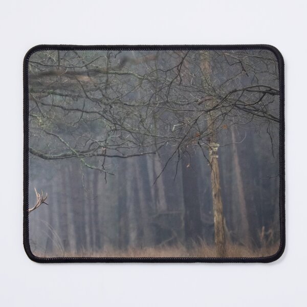 Item preview, Wilderness Magners Irish Cider Antler Journey designed and sold by Blosslandscape.