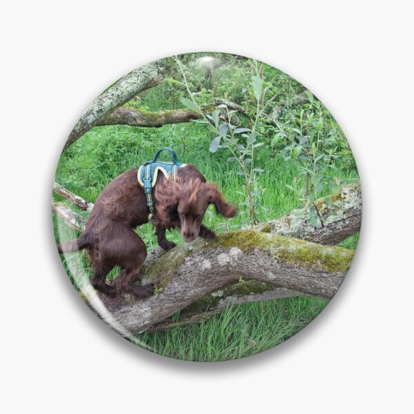 Item preview, Spaniel climbing a tree designed and sold by marallahfaith.