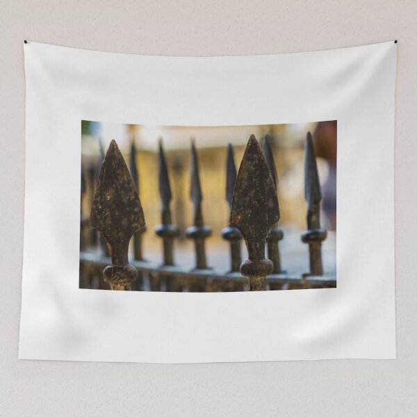 Item preview, Close-Up Of Wrought Iron Fence Spearheads With Rust And Cobwebs, Shallow Depth Of Field designed and sold by Nmallia.