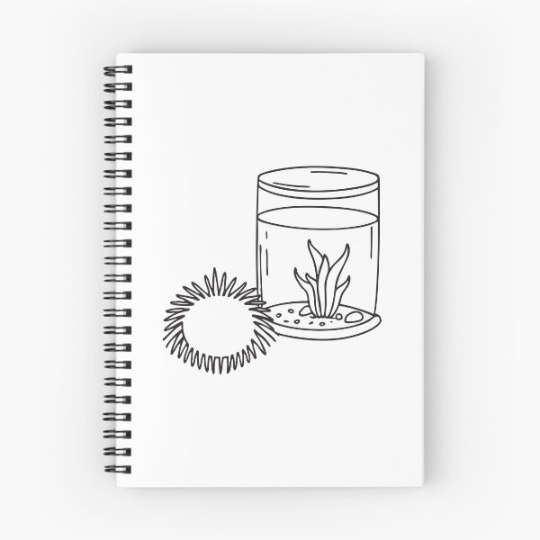 Item preview, A plastic sea urchin figure placed beside a fish tank designed and sold by rasagamastore.