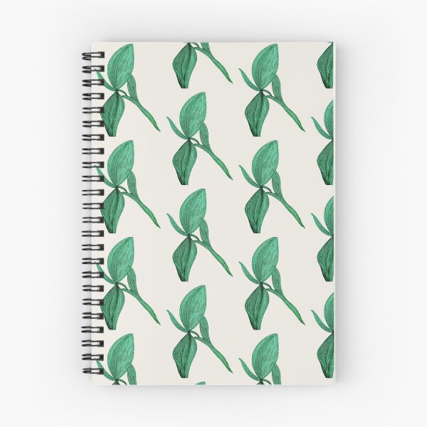 Item preview, The Green Ray Manuscript designed and sold by energyoflove333.