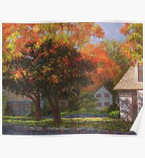 Autumn Shadow and Light Poster