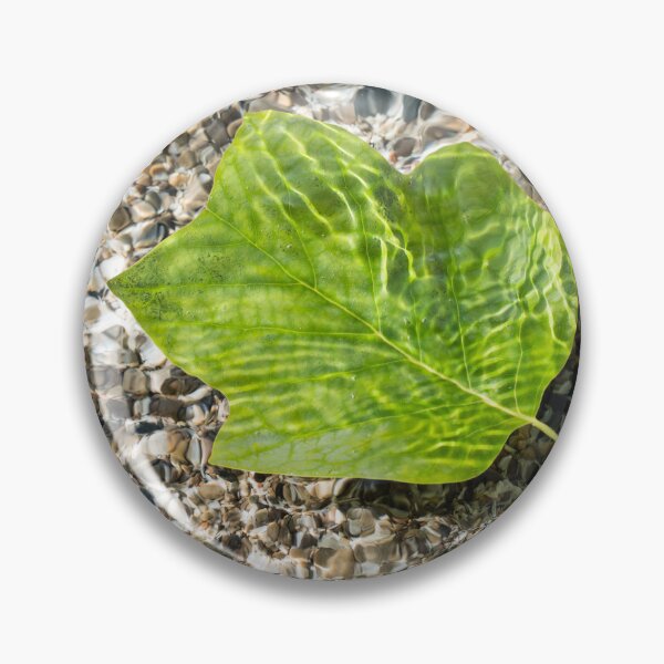 Item preview, Vivid Green Tuliptree Leaf Afloat in Clear Water designed and sold by Georgia Mizuleva.