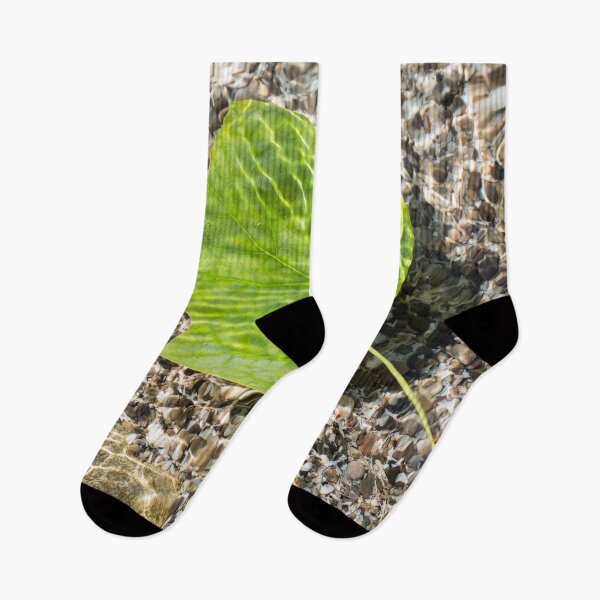 Item preview, Vivid Green Tuliptree Leaf Afloat in Clear Water designed and sold by Georgia Mizuleva.