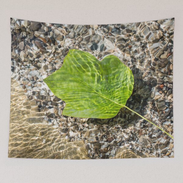 Item preview, Vivid Green Tuliptree Leaf Afloat in Clear Water designed and sold by Georgia Mizuleva.