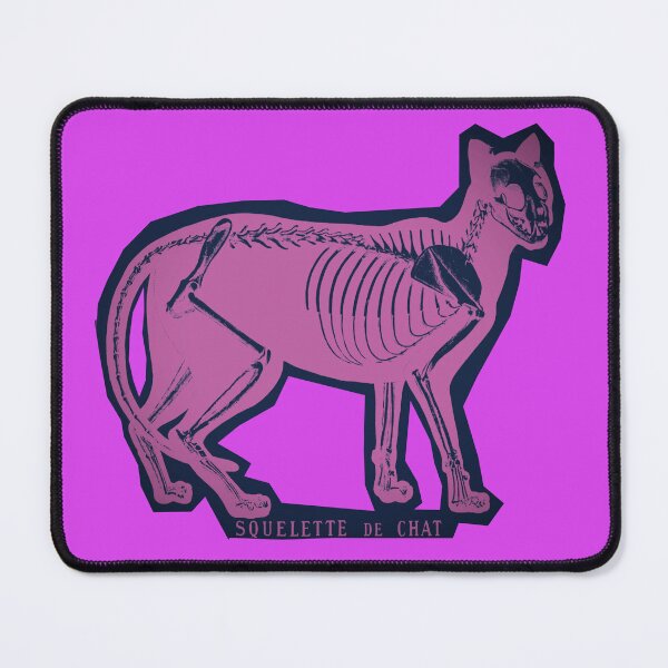 Item preview, cat skeleton (Squelette de Chat) designed and sold by weirdove.
