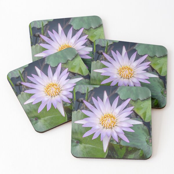 Item preview, Purple Water Lily Bloom designed and sold by MariaAbaza.