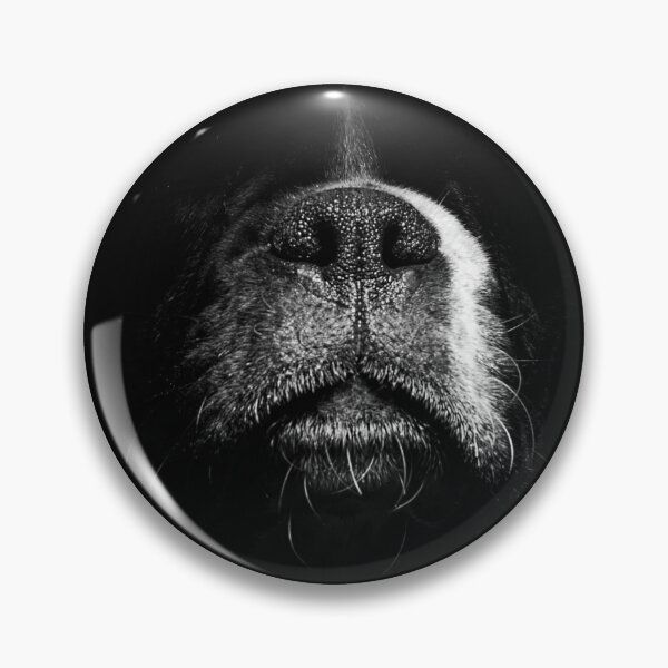 Item preview, Snout designed and sold by IncaBoxer.