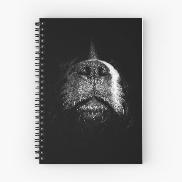Item preview, Snout designed and sold by IncaBoxer.