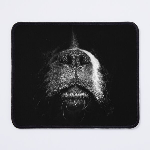 Item preview, Snout designed and sold by IncaBoxer.