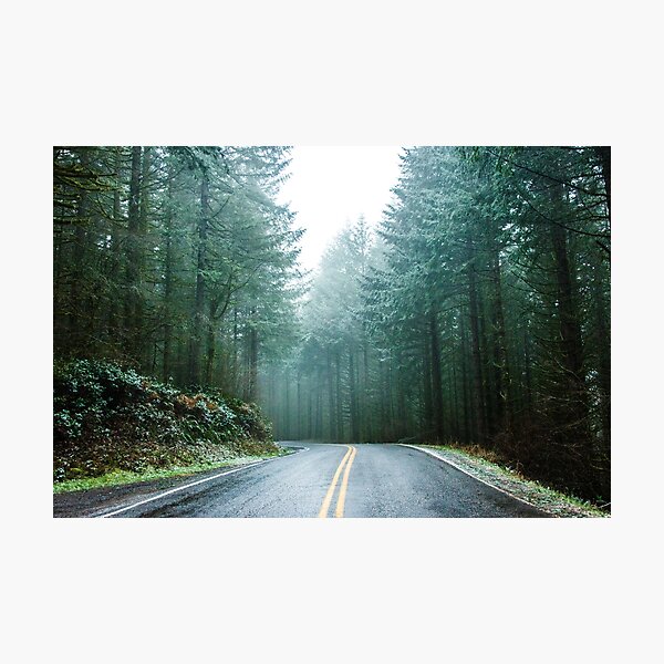 Item preview, Forest Road Trip - Foggy Day Fir Trees Pacific Northwest Adventure designed and sold by artcascadia.
