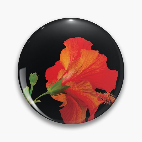 Item preview, Hibiscus Flame designed and sold by Kay Brewer.