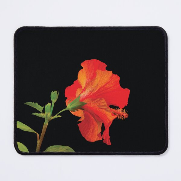 Item preview, Hibiscus Flame designed and sold by Kay Brewer.