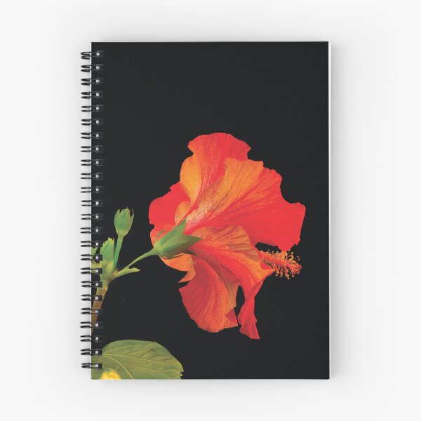 Item preview, Hibiscus Flame designed and sold by Kay Brewer.