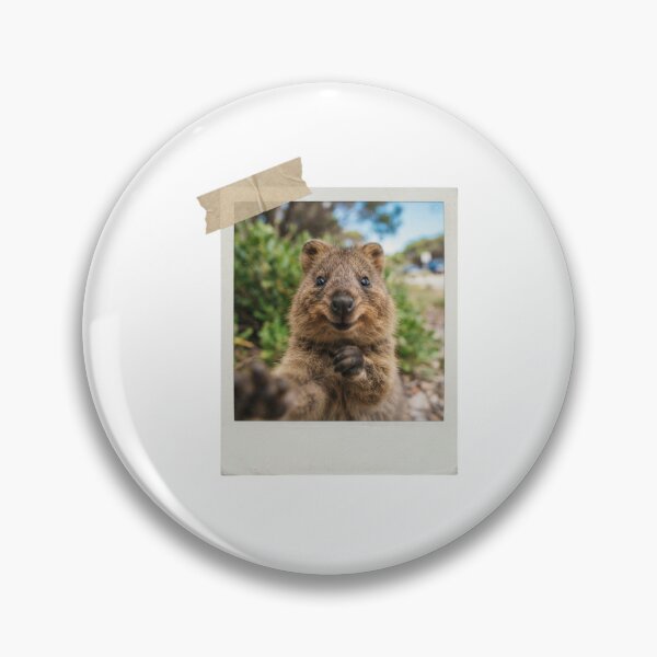 Item preview, Quokka picture vintage camera instant funny meme kawaii cute designed and sold by CheeseBlueprint.