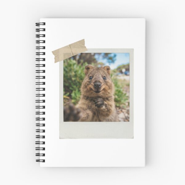Item preview, Quokka picture vintage camera instant funny meme kawaii cute designed and sold by CheeseBlueprint.