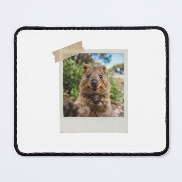 Item preview, Quokka picture vintage camera instant funny meme kawaii cute designed and sold by CheeseBlueprint.
