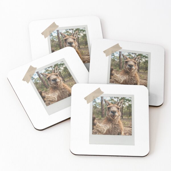 Item preview, Kangaroo picture vintage camera instant funny meme kawaii cute designed and sold by CheeseBlueprint.