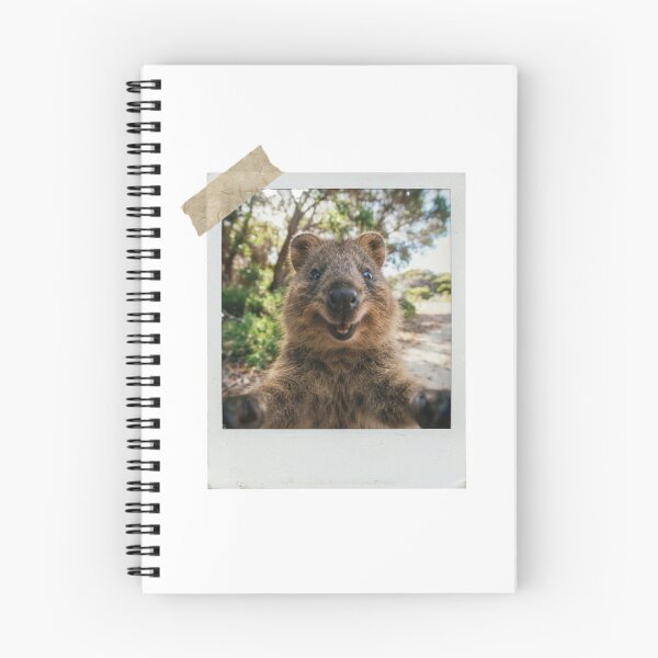 Item preview, Quokka picture vintage camera instant funny meme kawaii cute designed and sold by CheeseBlueprint.