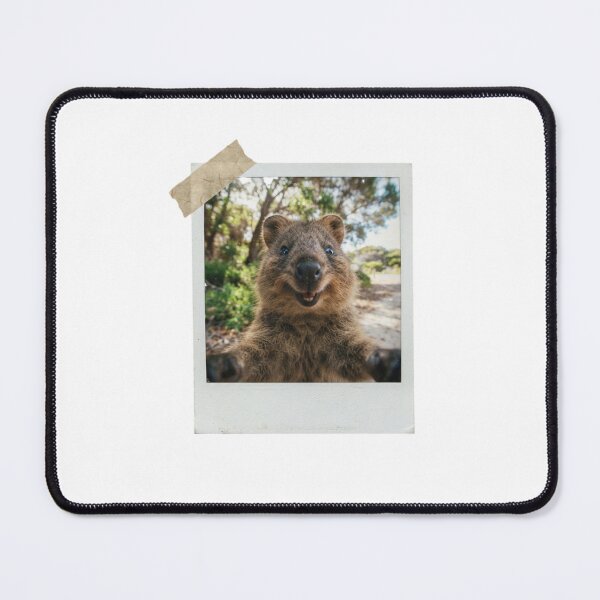 Item preview, Quokka picture vintage camera instant funny meme kawaii cute designed and sold by CheeseBlueprint.