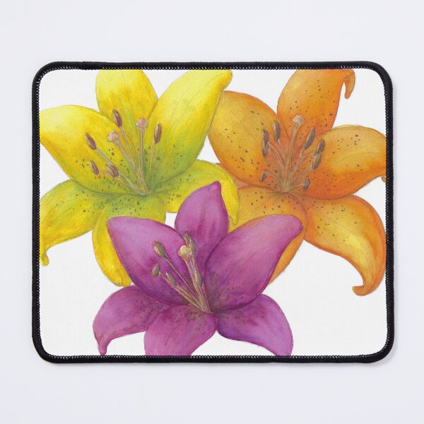 Item preview, Colorful lily blossoms designed and sold by Sandra  Steinke.