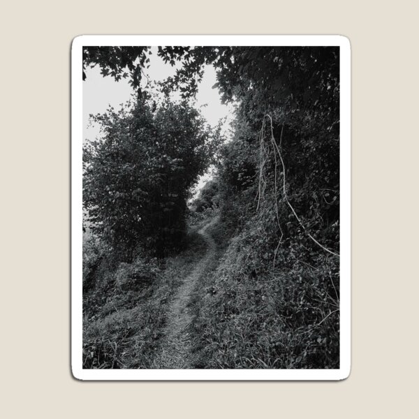 Item preview, Forest path designed and sold by sinanocte.