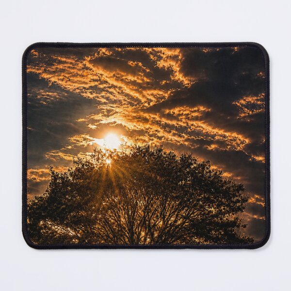 Item preview, Golden Light Through the Tree designed and sold by alexanderVision.