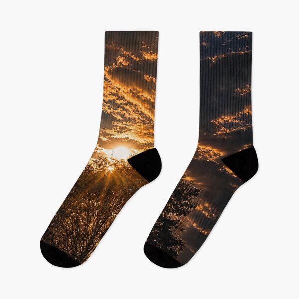 Item preview, Golden Light Through the Tree designed and sold by alexanderVision.