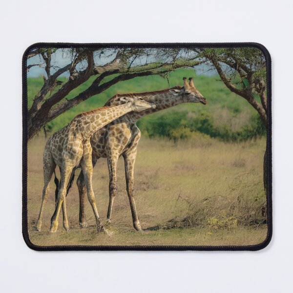 Item preview, Necking Giraffes designed and sold by Kay Brewer.