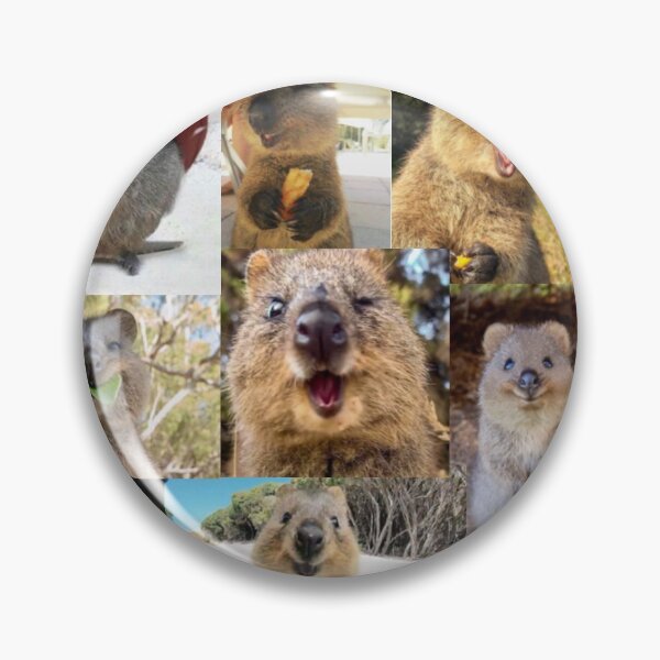 Item preview, Quokka designed and sold by Annaartartt.