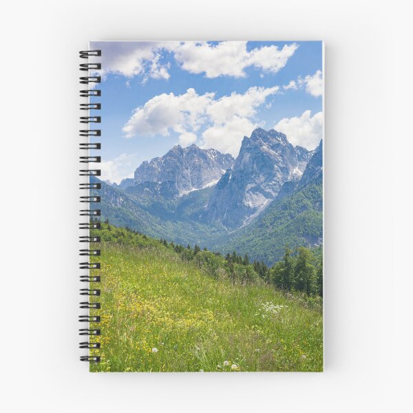 Item preview, Kaisertal with flower meadow and Ellmauer Halt, Kaiser Mountains, Tyrol, Austria designed and sold by Torsten  Krüger.
