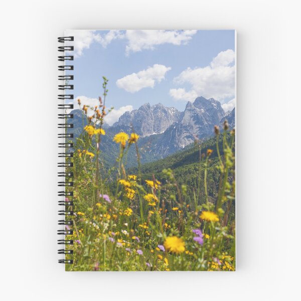 Item preview, Kaisertal with flower meadow and Ellmauer Halt, Kaiser Mountains, Tyrol, Austria designed and sold by Torsten  Krüger.