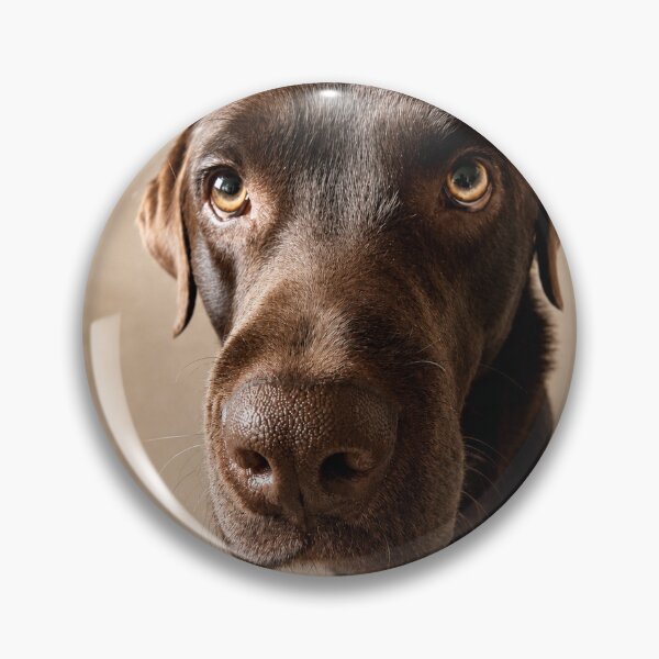 Item preview, Vince – The Gentle Beggar designed and sold by alexanderVision.