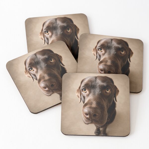 Item preview, Vince – The Gentle Beggar designed and sold by alexanderVision.